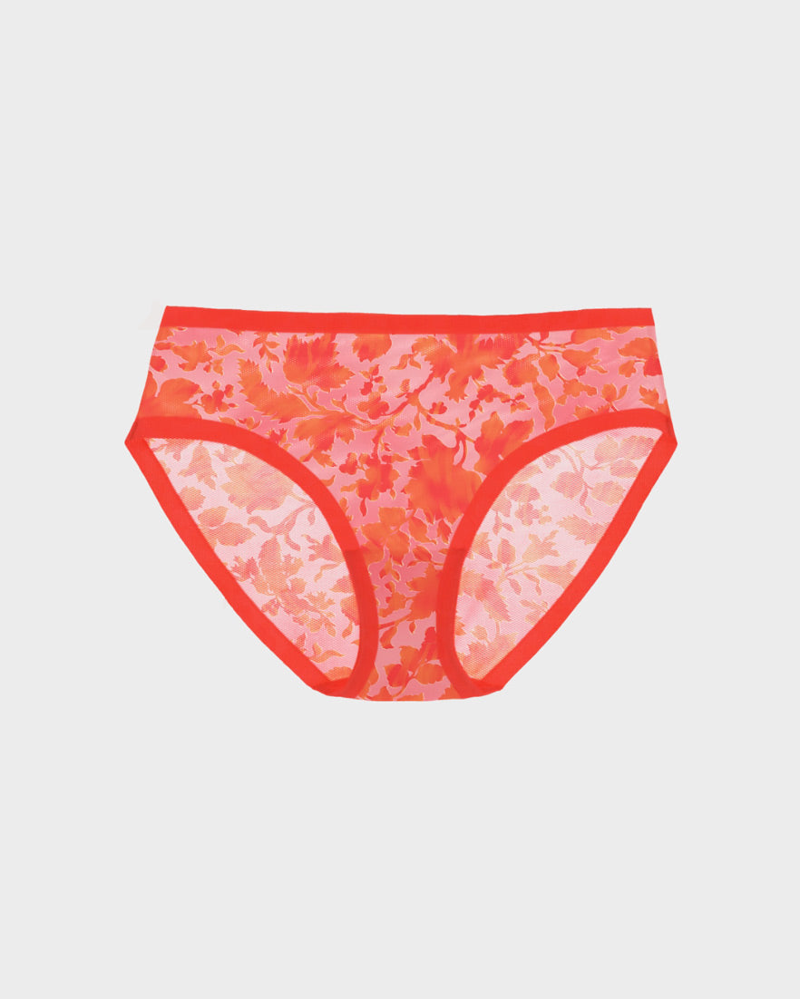 Bittersweet Mesh Brief