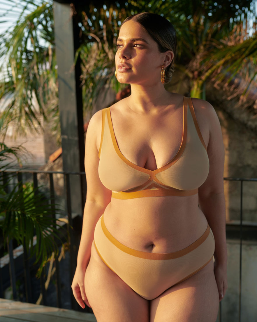 Cathay Spice Mesh High Cut High Waisted