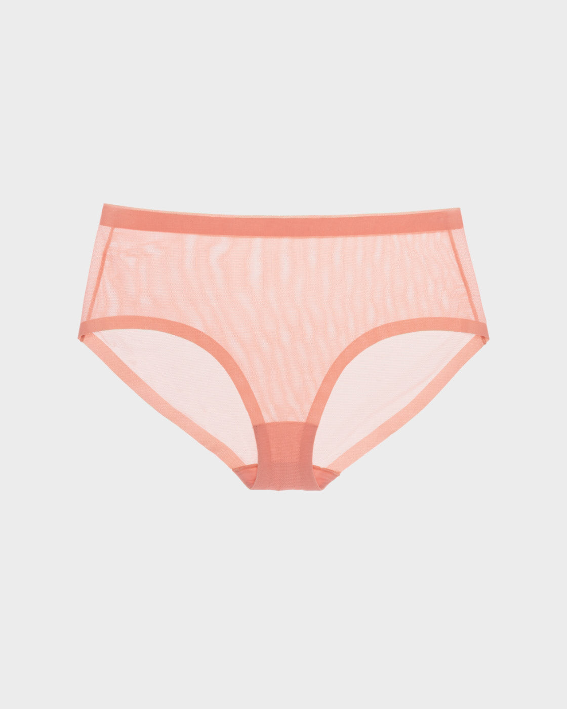 Coral Pink Mesh Brief