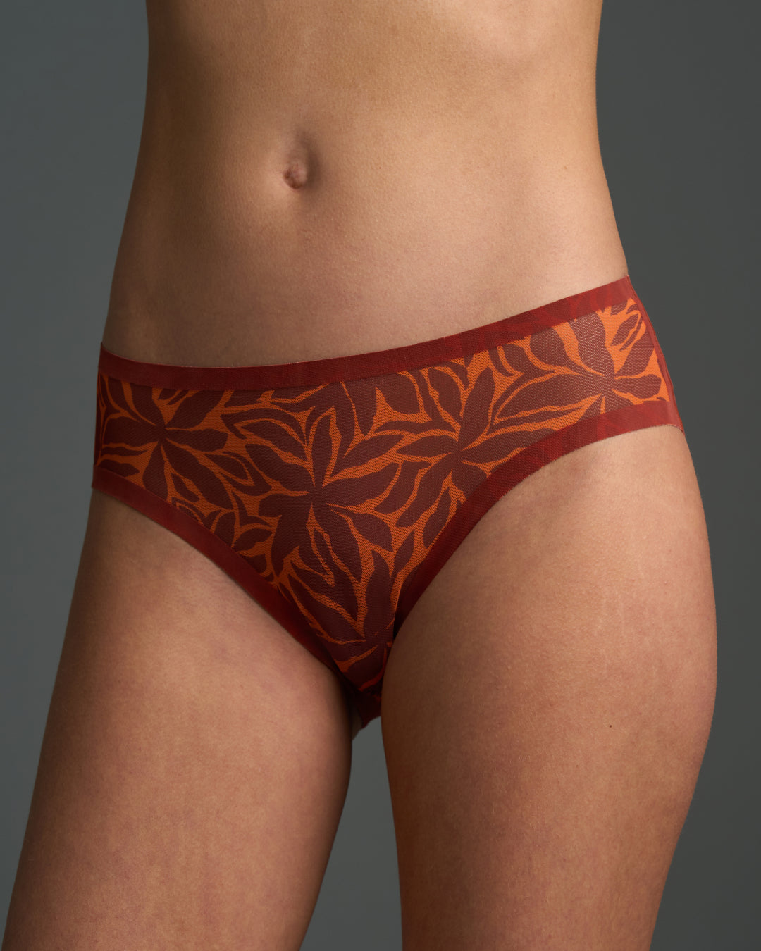 Dune Sheer Bra and Brief Set