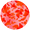 Bittersweet