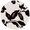 Madam Noir